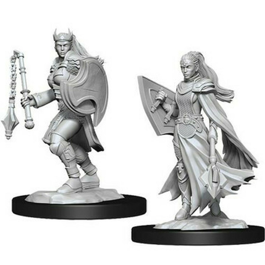 WizKids Miniaturen | D&D Nolzur'S Marvelous Miniatures: Kalashtar Cleric Female