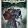 Fantasy Flight Games Arkham Horror Lcg | Arkham Horror Lcg Blood On The Altar