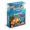 Identity Games Kinderspellen | Sealife Kwartet