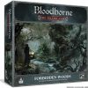 CMON Samenwerking Bordspel | Bloodborne Forbidden Woods